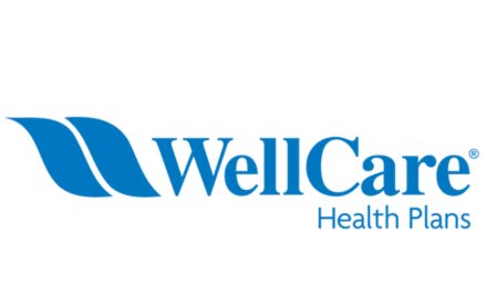 Wellcare Health Plans logo on a white background with the text "Wellcare Health Plan" written in bold black font